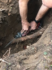 Cutting a tree root out of the way, close-up.